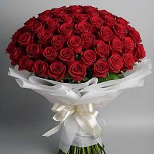 Букет 101 Красная роза Блэк Мэджик в Владимировке