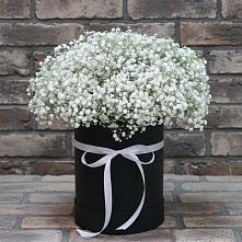 Цветочная композиция из Гипсофила в шляпной коробке в Владимировке
