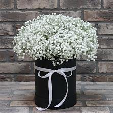 Цветочная композиция из Гипсофила в шляпной коробке в Владимировке