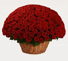 Премиум букет из: Розы в Владимировке